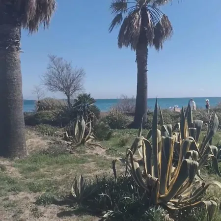Jolie T2 En Rez De Jardin Avec Piscine
